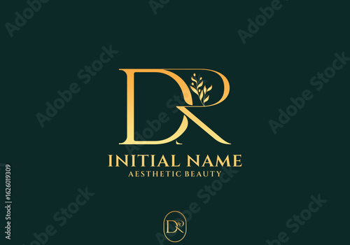 Letter DR Beauty Logo with Flourish Ornament Luxury Elegant Initial Logo Design for Aesthetic Beauty Brand
