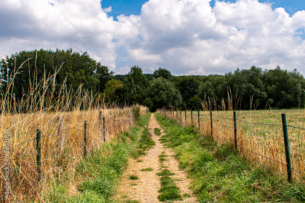 Fototapeta premium montagne saint Pierre