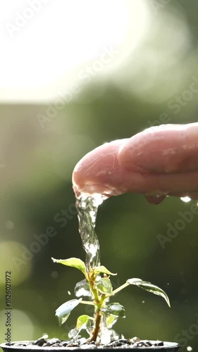 Green environment sustainability, growth, agriculture, energy, gardening concept. Hand watering young sprout, water drops on growing plant tree, Vertical. Concept of Ecology, Eco, World Earth Day