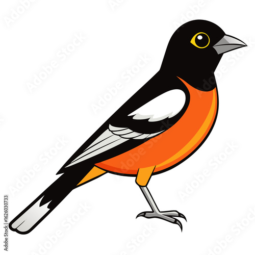 vector illustration of a bird