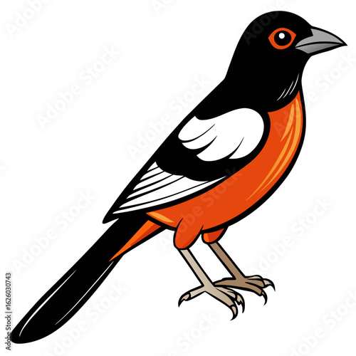 vector illustration of a bird