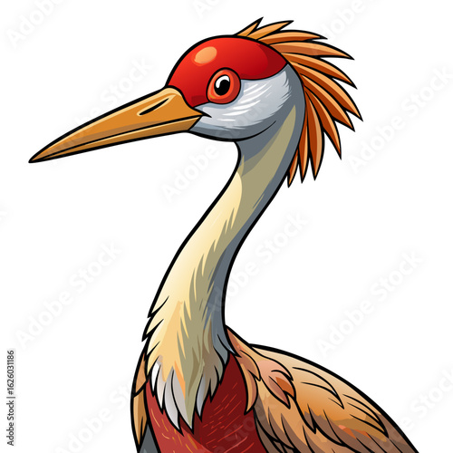 grey crowned crane