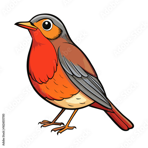 vector illustration of a robin