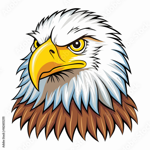 bald eagle vector illustration
