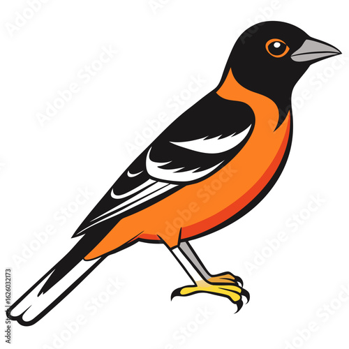 vector illustration of a bird