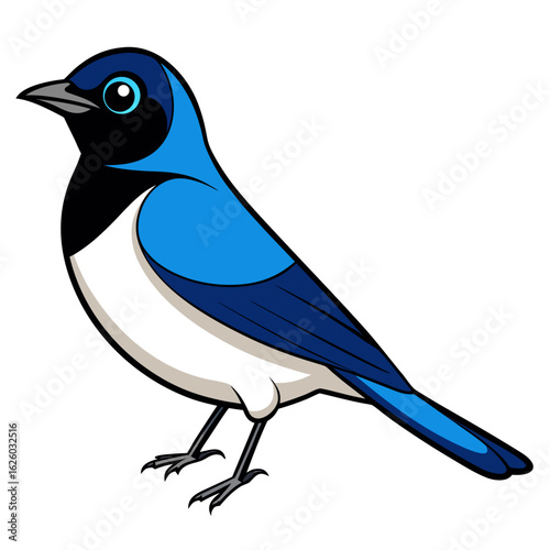 blue bird on a white background