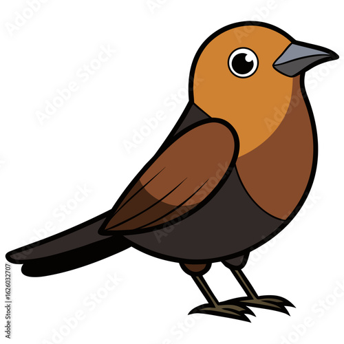 vector illustration of a bird