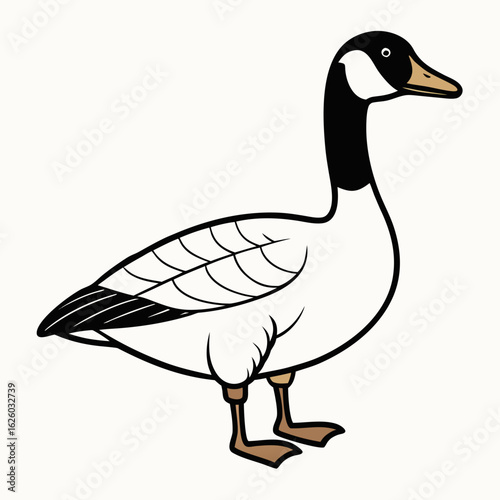 duck isolated on white background