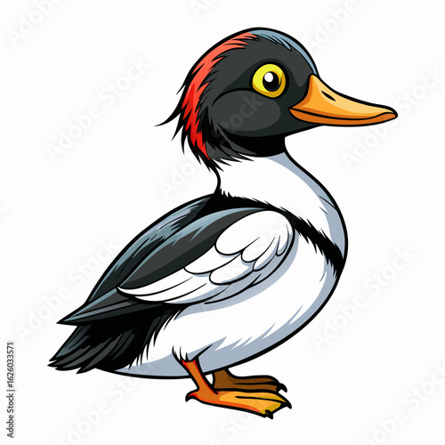 duck isolated on white background
