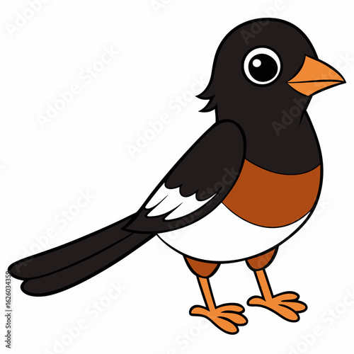 vector illustration of a cartoon bird