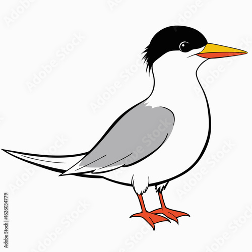 bird animal vector nature illustration wildlife black beak isolatedseagull