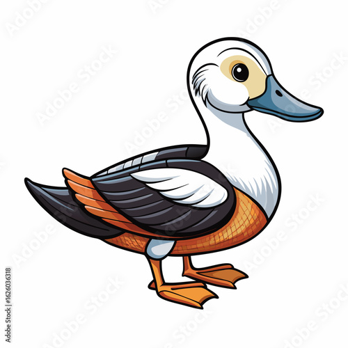 duck isolated on white background