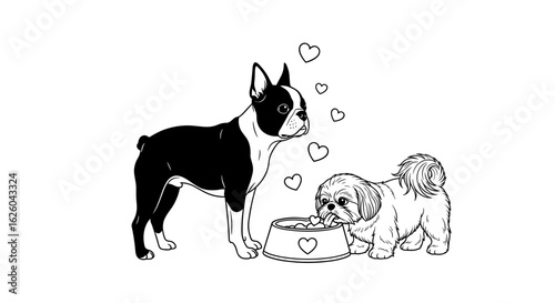 Boston Terrier and Shih Tzu dogs sharing a food bowl with hearts in black and white illustration for pet friendship