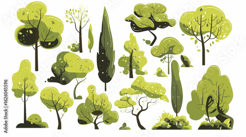 Various Tree Species Illustrations: A vibrant collection of tree illustrations, showcasing diverse species with varying shapes and styles.
