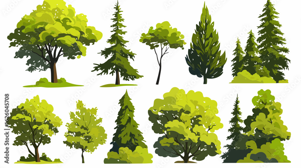 Fototapeta premium Varied Tree Collection: A vibrant collection of diverse tree species, each meticulously illustrated with lush foliage, standing as a testament to the variety of natural ecosystems.