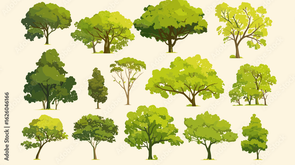 Fototapeta premium Diverse Tree Collection: A vibrant assortment of trees showcases a variety of shapes and verdant hues. This image brings the essence of nature.