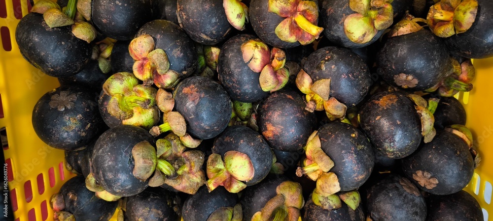 Yellow basket filled with mangosteens Yellow basket filled with mangosteens