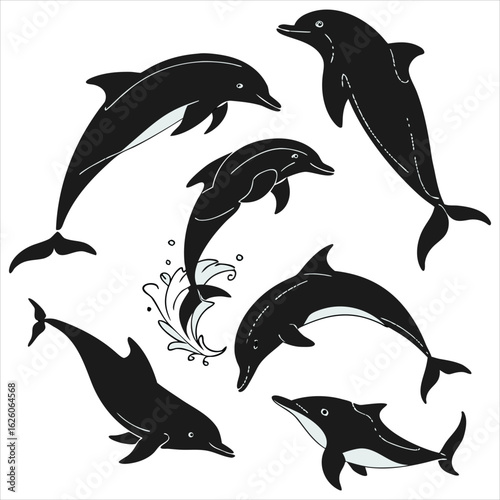  Dolphin vector. Dolphin cartoon sea animal icon. Bottlenose Dolphin. Dolphin peeking out of water. Dolphin Isolated. Dolphin jump out of the water in sea. Dolphins Jumping From The Sea. 