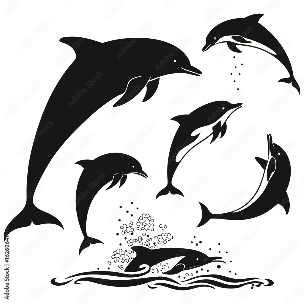 Naklejka premium Dolphin vector. Dolphin cartoon sea animal icon. Bottlenose Dolphin. Dolphin peeking out of water. Dolphin Isolated. Dolphin jump out of the water in sea. Dolphins Jumping From The Sea. 