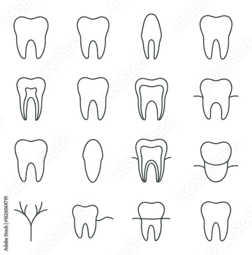 Dental linear icon set. containing tooth, molar, incisor, root canal, cavity, orthodontics, braces, gum, enamel.