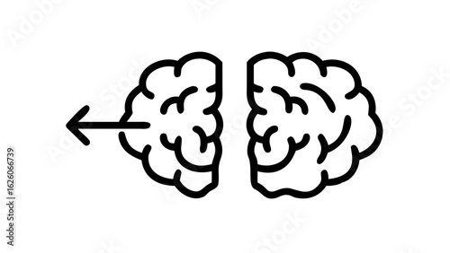 Brain two pieces 