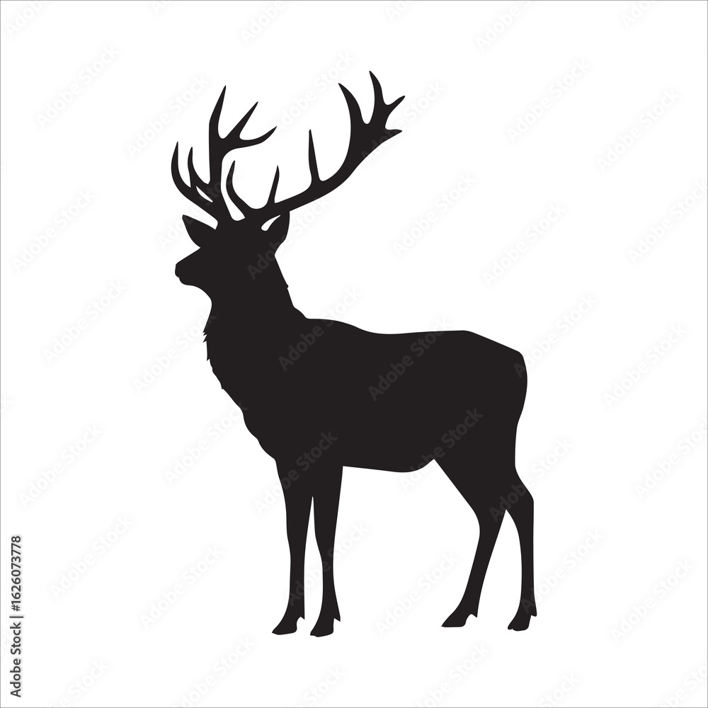 Obraz premium Black and white graphic resources