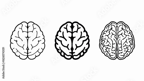 Human brains 