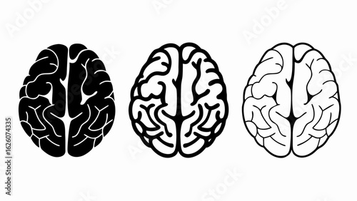 Three human brains vector silhouette 