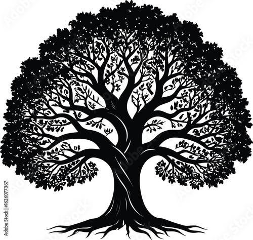 Detailed black silhouette of a large ancient oak tree with sprawling branches and visible roots against a white background
