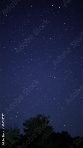 Milky way arch emerging over trees and shooting stars