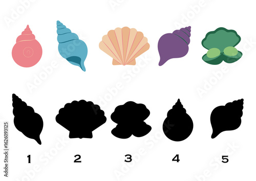 A set of shells of different shapes and colors with shadows. A game for children "Whose shadow?"