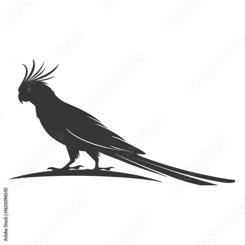 A dark gray silhouette of a cockatoo or similar parrot, featuring its distinctive crest and long tail, perched on a subtle line representing a branch or ground.