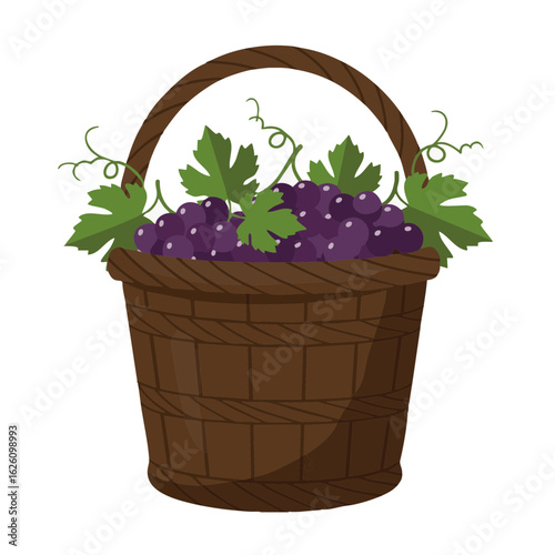  Wooden basket filled with harvested grapes and vine leaves
