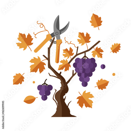 Vineyard vine with shears, grape clusters, and falling leaves