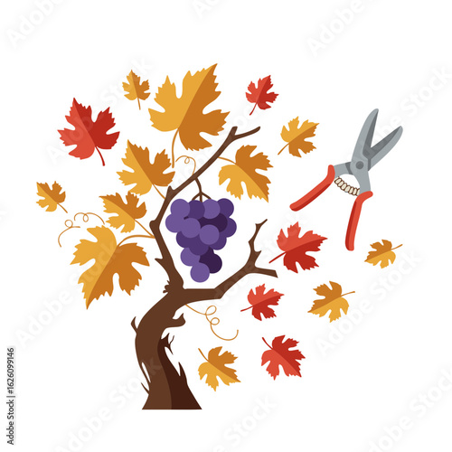 Vineyard vine with shears, grape clusters, and falling leaves