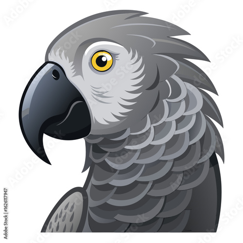 black and white parrot