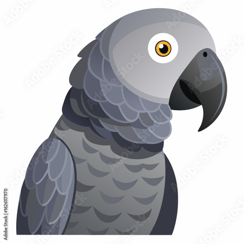 black and white parrot