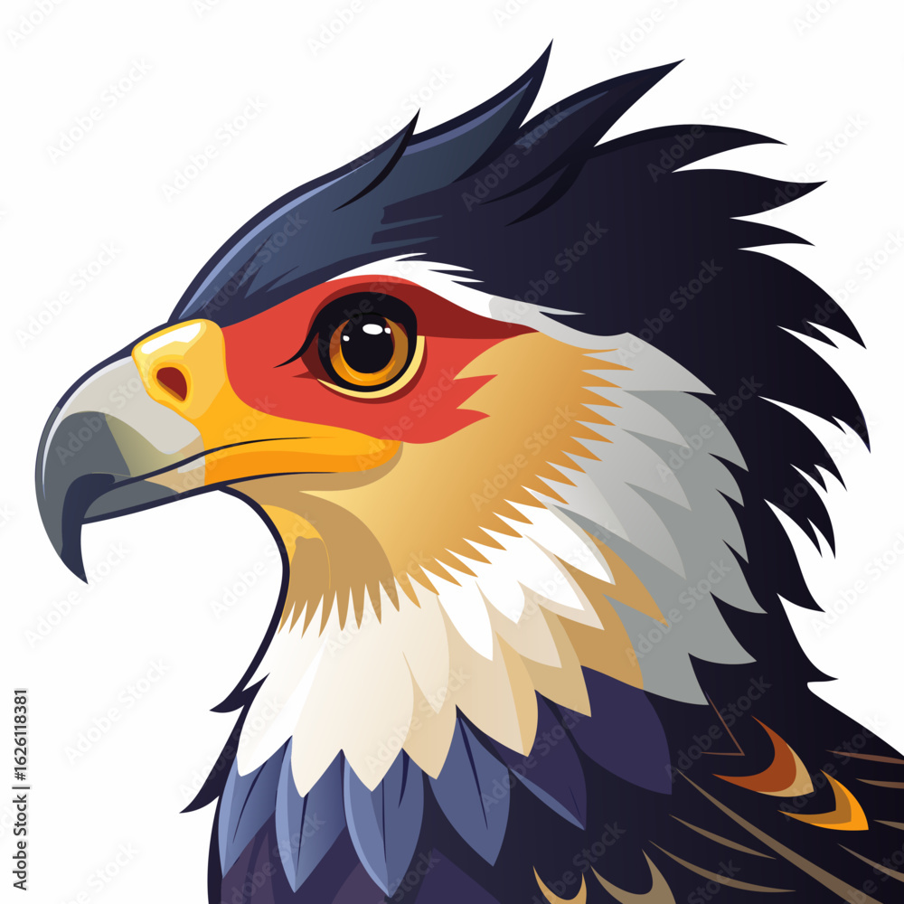 Obraz premium american bald eagle vector illustration
