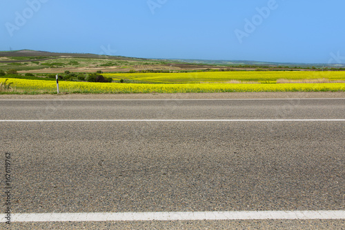 road in a field of yellow flowers.