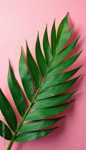 Intricate palm leaf veins, soft shadow on rose pink backdrop, detail, element