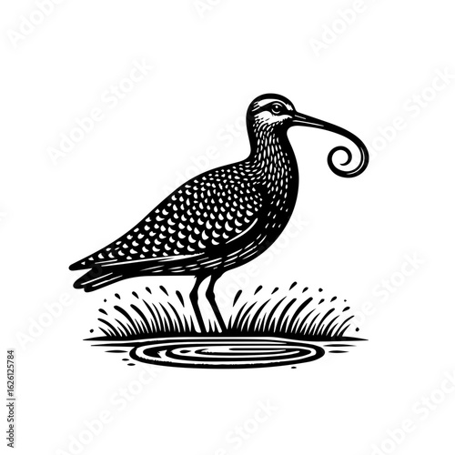 Stylized Black and White Curlew Bird Illustration.