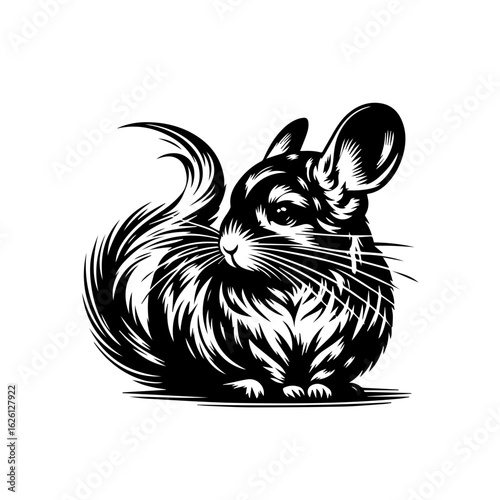 Stylized Black and White Chinchilla Illustration.