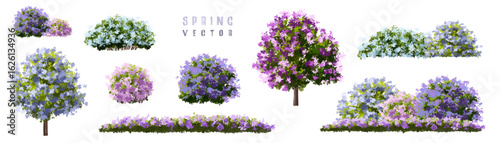  Vector watercolor blooming flower tree or forest side view isolated on white background for landscape and architecture drawing,elements for environment or and garden,green tree for garden section 