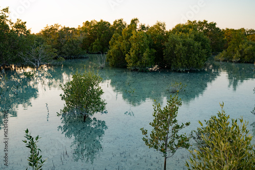 Abu Dhabi, UAE: Jubail Mangrove Park