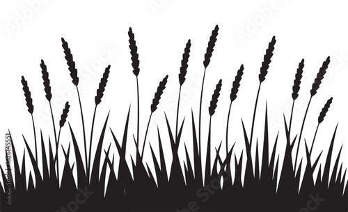 Tall grass and reeds silhouette