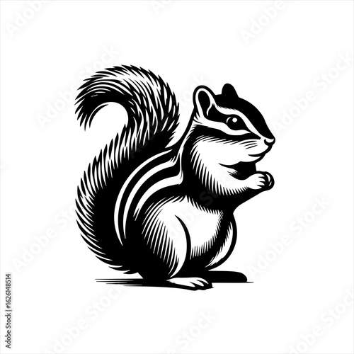 Wallpaper Mural Cute Black and White Chipmunk Vector Illustration 1. Torontodigital.ca