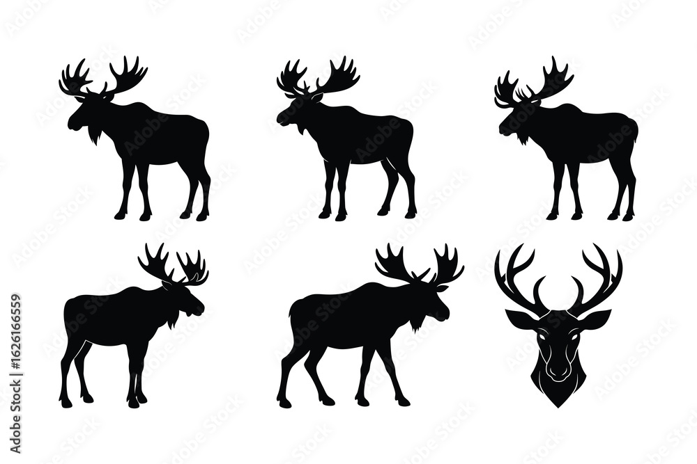 Fototapeta premium Majestic Moose Silhouettes And Head deer animal