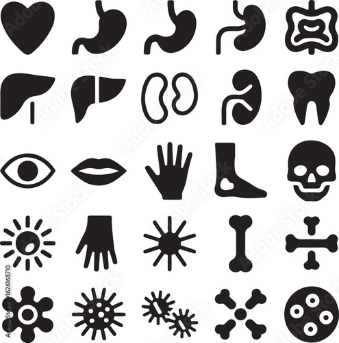 Black and white vector icons of human anatomy body parts microorganisms and viruses in a medical illustration