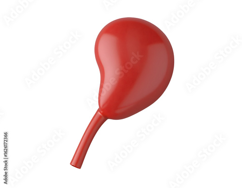 3D Red Cartoon Kidney on Transparent Background