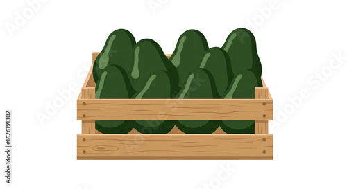 green avocados in wooden crate clip art preview